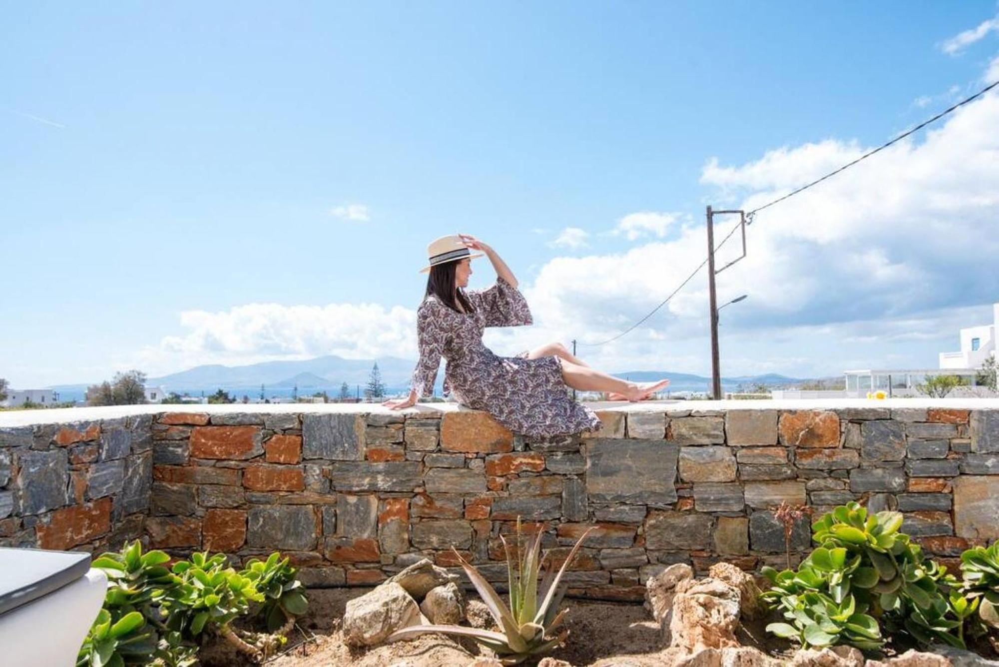 Naxos Agia Anna Sunset View Olive House Apartment Ngoại thất bức ảnh