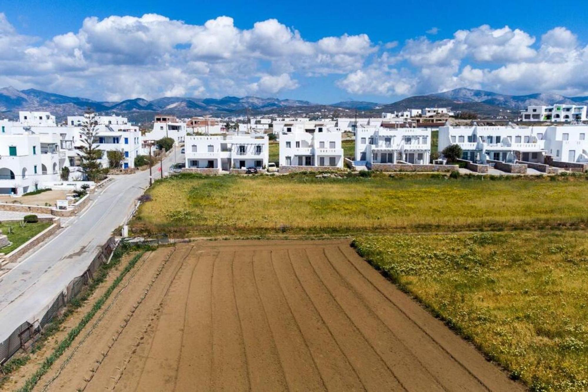 Naxos Agia Anna Sunset View Olive House Apartment Ngoại thất bức ảnh